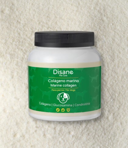 Collagène marin pour chiens