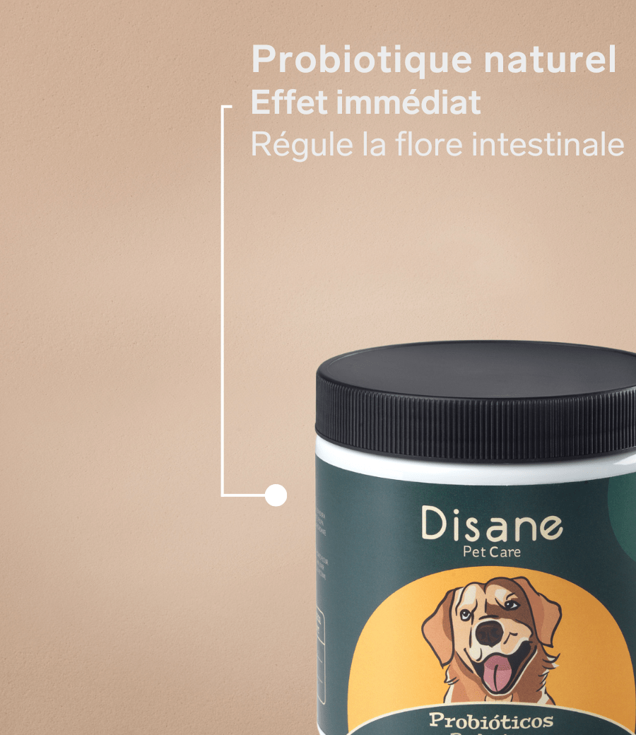 Probiotiques Pour Chien Avec Prébiotiques - 150 Friandises Molles Goût Canard - Santé Intestinale, Digestion, Peau - Toutes Races