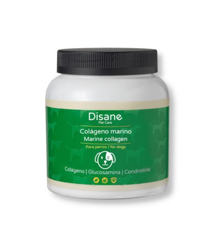 Collagène marin pour chiens