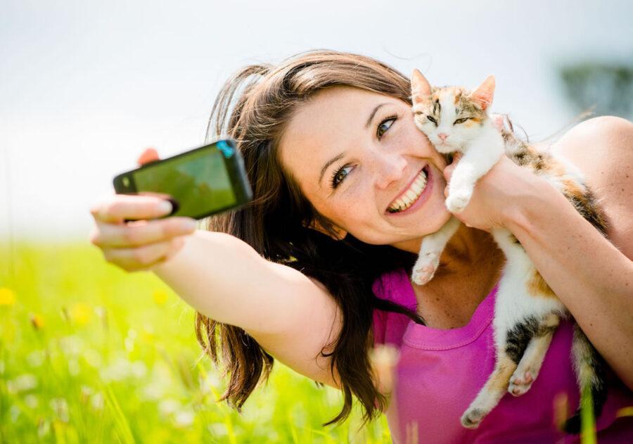 Disane Pet Care, produits naturels pour animaux de compagnie Disane, produits naturels pour animaux de compagnie