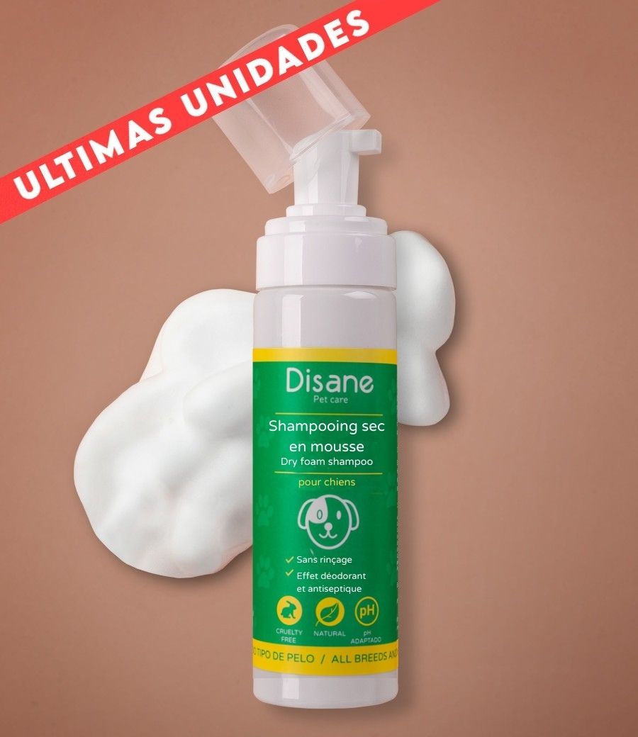 Shampooing naturel pour chiens mousse lavage à sec